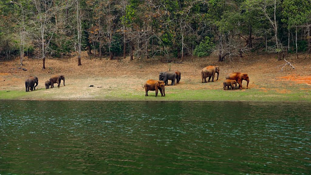 Hills and Backwaters